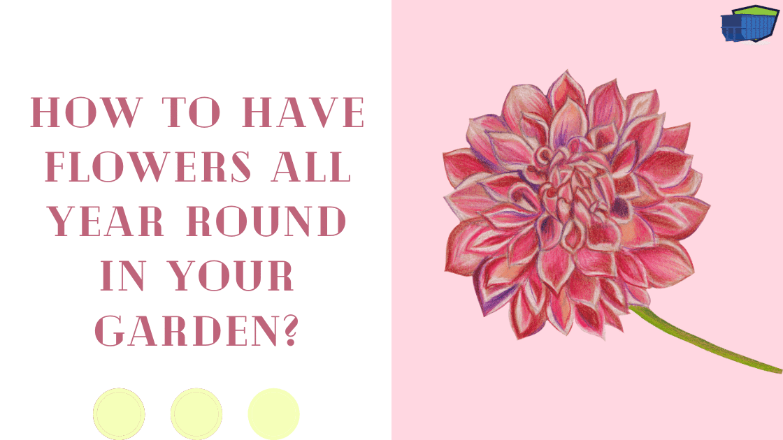 How to Have Flowers All Year Round in Your Garden? Junk Container